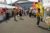 Typical Japanese market on the DZ.